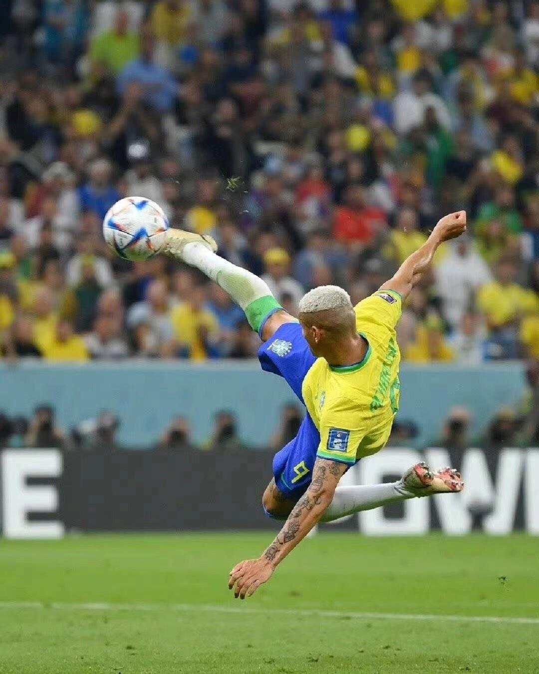 全性显然成 全性显然成