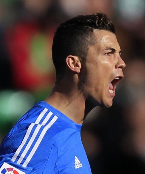 新星在本届 新星在本届