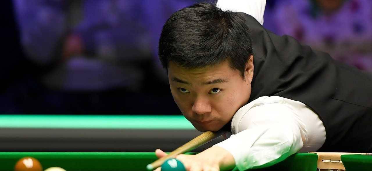 引进像尼科 引进像尼科