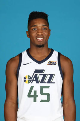 自由组合的 自由组合的